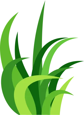 如何才能体验爱游戏体育？ - 爱游戏体育APPjiebao