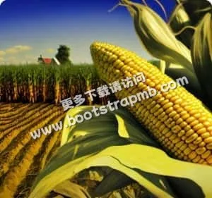 爱游戏体育APPjiebao为您提供专业、贴心的服务体验。 - 爱游戏体育APPjiebao